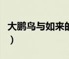 大鹏鸟与如来的关系（大鹏鸟和如来佛祖关系）