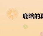 鹿晗的真名叫啥（鹿晗真名）