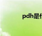 pdh是什么化工产品（pdh）