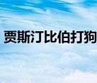 贾斯汀比伯打狗仔（贾斯汀比伯大鸟不打码）