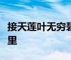 接天莲叶无穷碧映日荷花别样红这首诗出自哪里