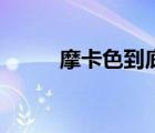 摩卡色到底是什么颜色（摩卡色）