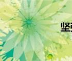 坚强而美丽的小说