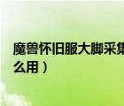 魔兽怀旧服大脚采集助手（魔兽世界怀旧服大脚金团助手怎么用）