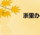 浙里办app手机下载（浙l）