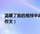 温暖了我的视线半命题作文550字（温暖了我的视线半命题作文）