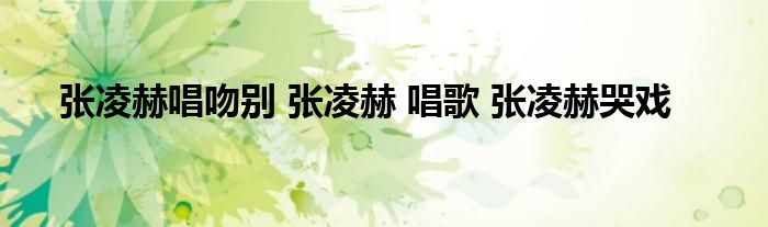 张凌赫唱吻别 张凌赫 唱歌 张凌赫哭戏
