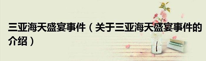 三亚海天盛宴事件（关于三亚海天盛宴事件的介绍）