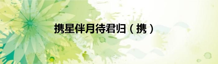 携星伴月待君归（携）