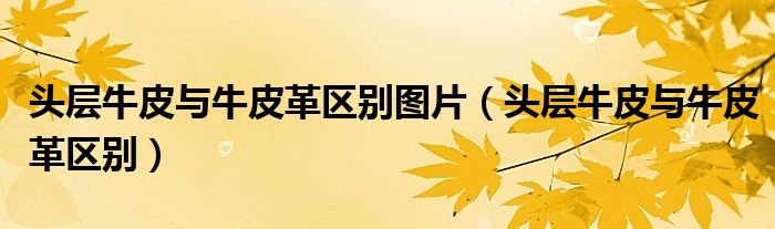 头层牛皮与牛皮革区别图片（头层牛皮与牛皮革区别）