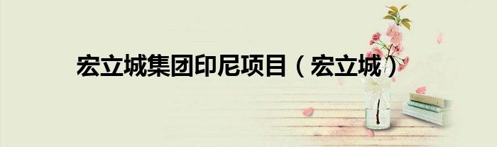 宏立城集团印尼项目（宏立城）