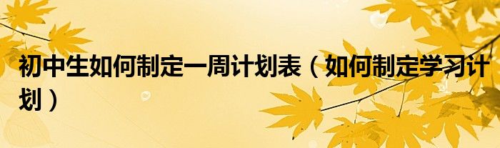 初中生如何制定一周计划表（如何制定学习计划）