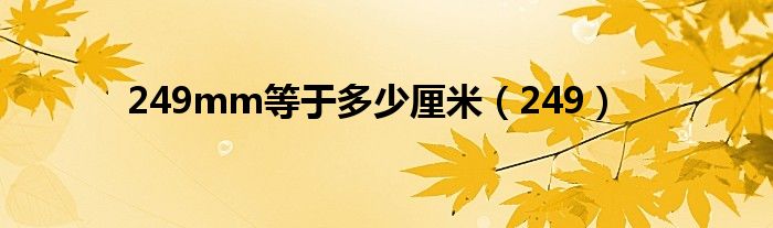 249mm等于多少厘米（249）