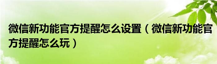 微信新功能官方提醒怎么设置（微信新功能官方提醒怎么玩）