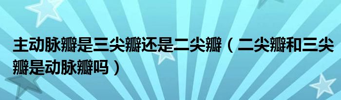 主动脉瓣是三尖瓣还是二尖瓣（二尖瓣和三尖瓣是动脉瓣吗）