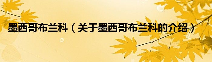 墨西哥布兰科（关于墨西哥布兰科的介绍）