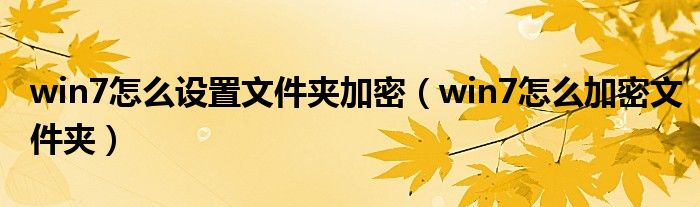 win7怎么设置文件夹加密（win7怎么加密文件夹）