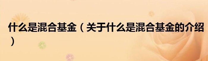 什么是混合基金（关于什么是混合基金的介绍）