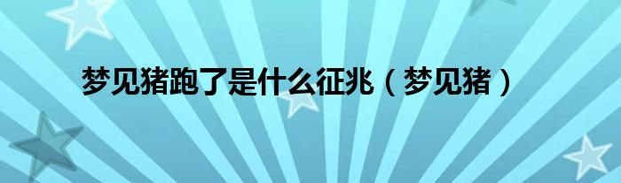 梦见猪跑了是什么征兆（梦见猪）
