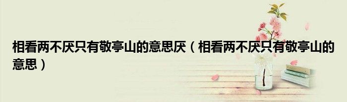 相看两不厌只有敬亭山的意思厌（相看两不厌只有敬亭山的意思）