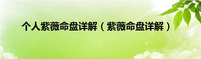 个人紫薇命盘详解（紫薇命盘详解）