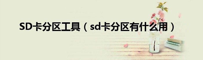 SD卡分区工具（sd卡分区有什么用）