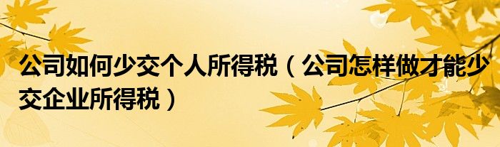 公司如何少交个人所得税（公司怎样做才能少交企业所得税）