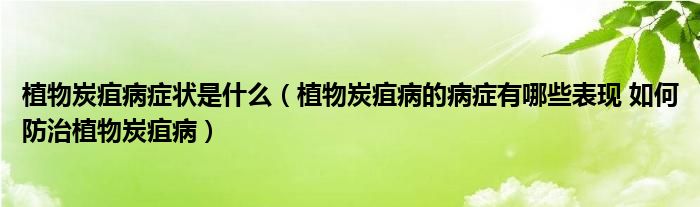 植物炭疽病症状是什么（植物炭疽病的病症有哪些表现 如何防治植物炭疽病）