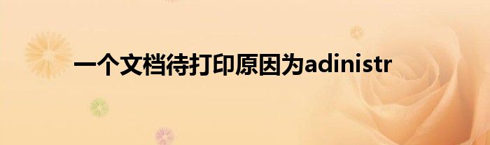 一个文档待打印原因为adinistr