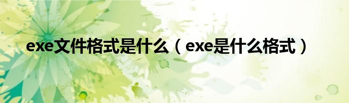 exe文件格式是什么（exe是什么格式）