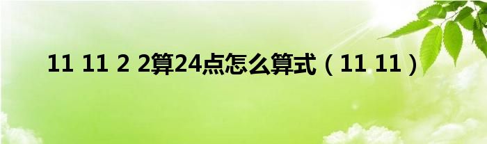 11 11 2 2算24点怎么算式（11 11）