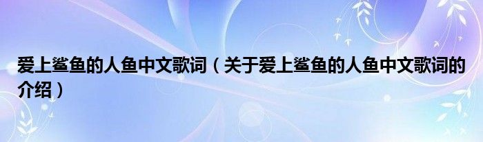 爱上鲨鱼的人鱼中文歌词（关于爱上鲨鱼的人鱼中文歌词的介绍）