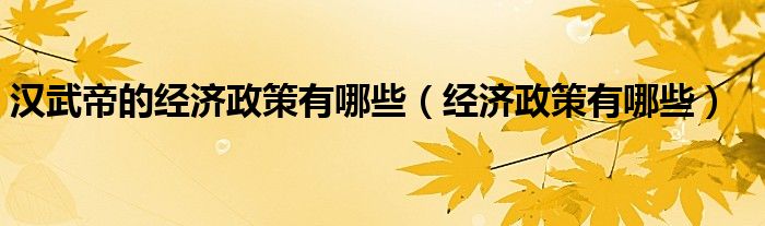 汉武帝的经济政策有哪些（经济政策有哪些）