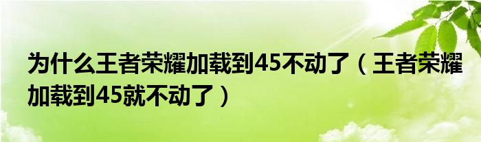 为什么王者荣耀加载到45不动了（王者荣耀加载到45就不动了）