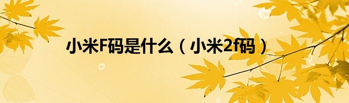 小米F码是什么（小米2f码）