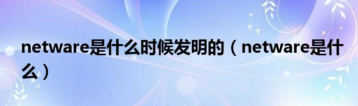 netware是什么时候发明的（netware是什么）
