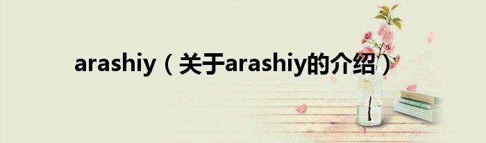 arashiy（关于arashiy的介绍）