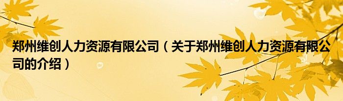 郑州维创人力资源有限公司（关于郑州维创人力资源有限公司的介绍）