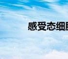 感受态细胞dh5α（感受态细胞）