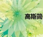 高斯简介50字（高斯简介）