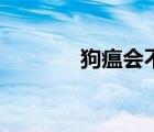狗瘟会不会传染给猫（狗瘟）
