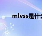 mlvss是什么意思（vss是什么意思）