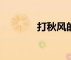 打秋风的意思（打秋风典故）