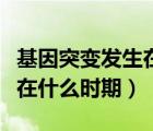 基因突变发生在什么时期生物（基因突变发生在什么时期）
