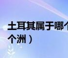 土耳其属于哪个洲国家篮球队（土耳其属于哪个洲）
