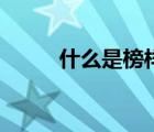 什么是榜样议论文（什么是榜样）