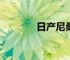 日产尼桑多少钱（日产尼桑）
