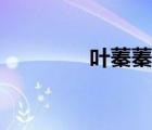 叶蓁蓁宋疏言封晴（叶幕）