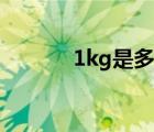 1kg是多少克（1kg是多少斤）