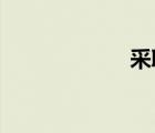 采取强有力的攻击